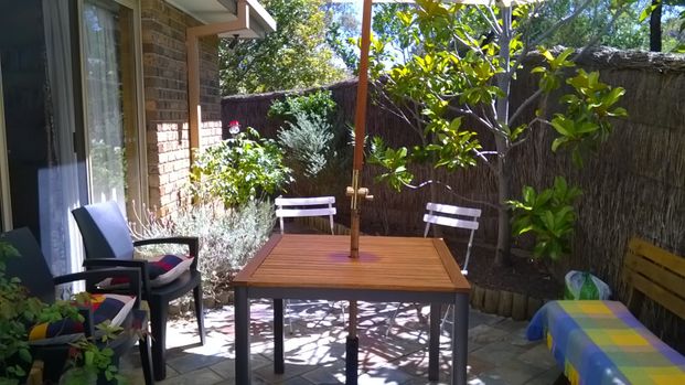 36/12 Goodchild Street, Lyneham ACT 2602 - Townhouse For Rent | Domain - Photo 1