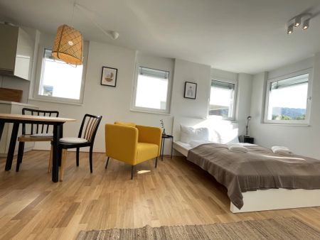 Moderne 1-Zimmer Wohnung mit Stellplatz - Hohenweiler - Foto 4