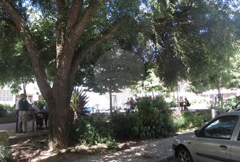 Apartamento T1 em Lisboa