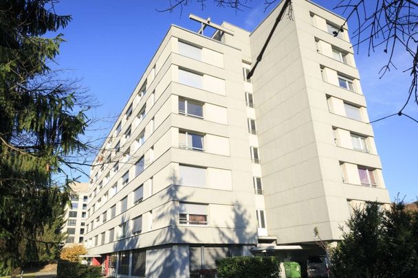 Studio au 4ème étage à louer à Fribourg - Photo 1