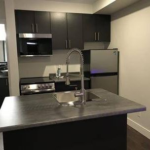 E103 - 430 5th Street, Courtenay Fully Furnished Studio - Photo 3