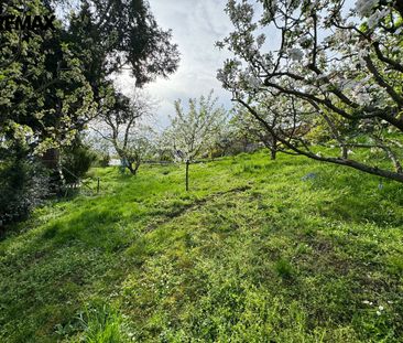 Pronájem rodinného domu 80 m², Jesenická 38, Olomouc - Photo 6