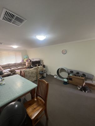 Well Located Unit 3x2 - Photo 1