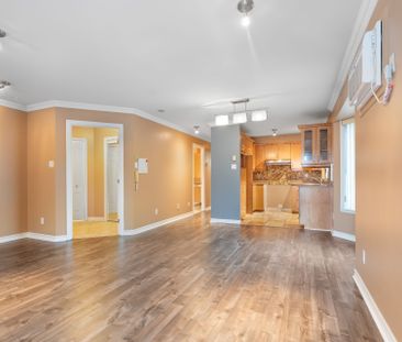 Appartement - 202-5325 Av. Colomb - Photo 1