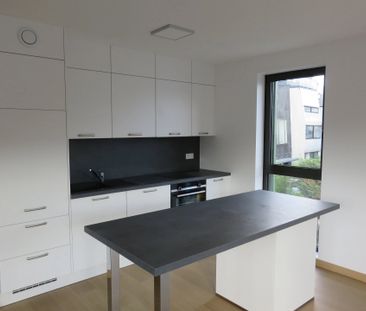 ISSY-LES-MOULINEAUX : - Photo 3
