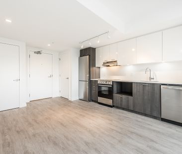 1008 Pandora Avenue, Victoria - Photo 3