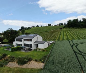 Magnifique maison avec jardin à LOUER à Echandens - Photo 1