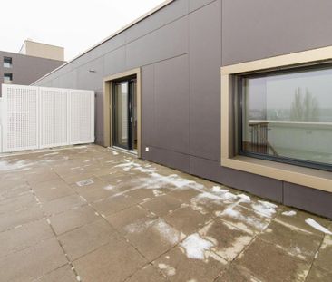 3.5 Zimmer Wohnung - Foto 6