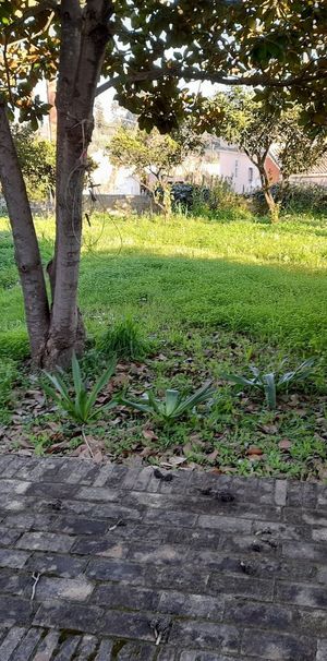 Διαμέρισμα για ενοικίαση Χώρα Κέρκυρας (Κέρκυρα) - Photo 2