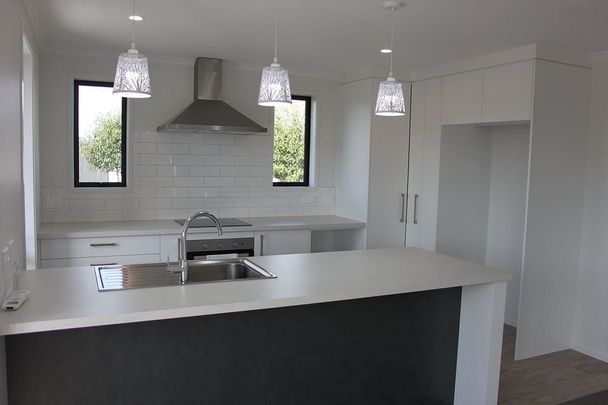 Modern sunny home in quiet neighbourhood - Photo 1