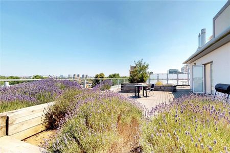 63-75 Glenthorne Road, Hammersmith, London, W6 - Photo 3