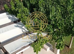 Βίλα για ενοικίαση - Ερέτρια, - Photo 2