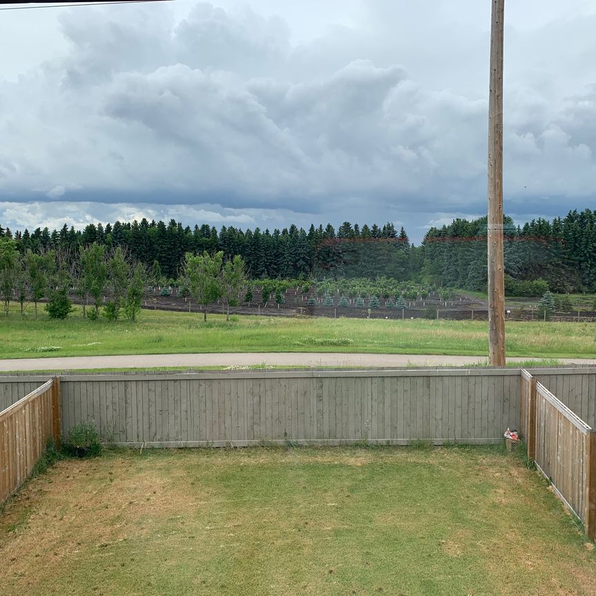 3 Bedroom House For Rent In Tamarack. - Photo 1