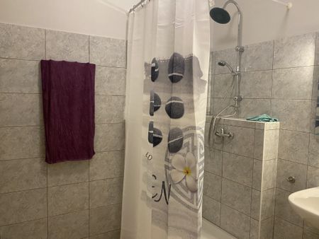 APPARTEMENT T3 A LOUER - Photo 5