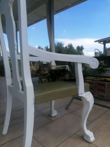 Μεζονέτα για ενοικίαση - Αίγιο, - Photo 5