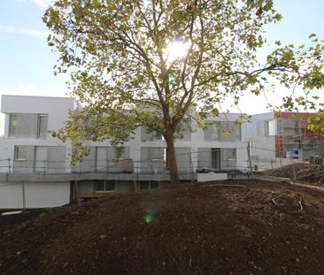 Location Appartement 1 pièce 34m² ST HERBLAIN 44800 - Photo 3