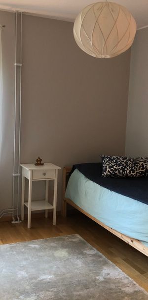 Smögengatan, Göteborg - Foto 1