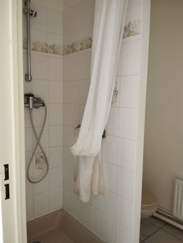 Location Appartement 1 pièce 18m² VICHY 03200 - Photo 3