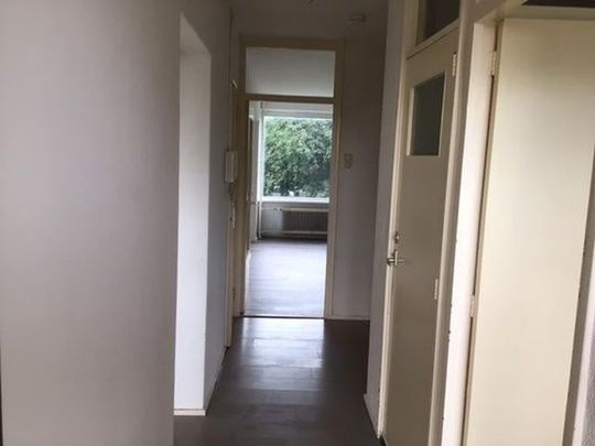 Te huur: Appartement De Arend in Hoogeveen - Foto 1