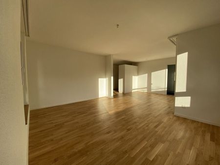 Mein neues Zuhause - Foto 4
