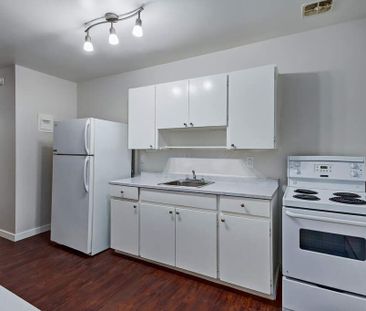 Renovated Suite - 1 Bedroom - Photo 1