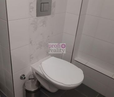 Pronájem bytu 1+1 33 m² - Fotografie 4