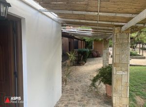 Μονοκατοικία για ενοικίαση - Παλαιά Φώκαια - Photo 4