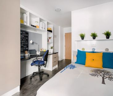 Classic Studio - Photo 1