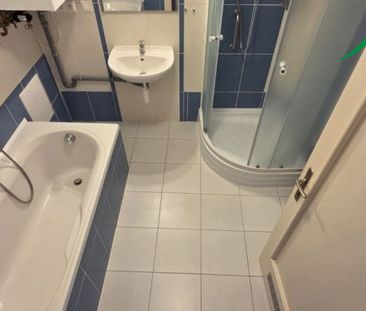 Pronájem bytu 3+1 105 m², Planá - Photo 5