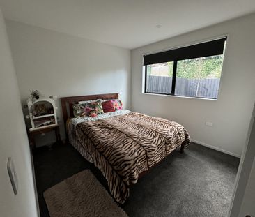 45A Hillier Place, Spreydon - Photo 4