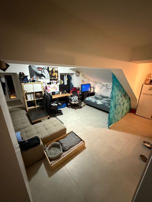 Renovated studio on the 3rd floor - Photo 1