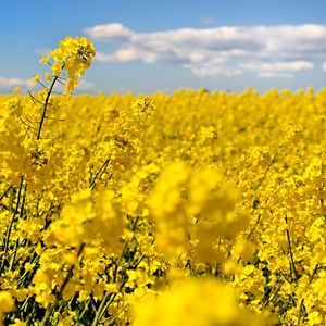 Bruksparken 9 - Foto 2