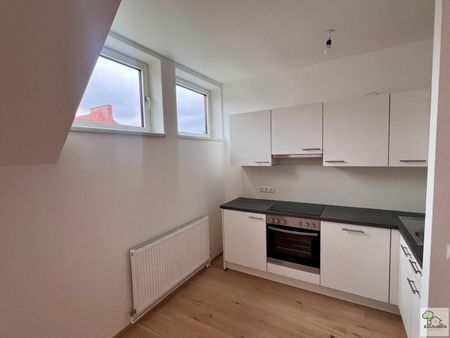 1190 Wien- DG. WOHNUNG IN RUHELAGE - Foto 2