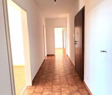 2.5 Zimmer, 50 m² - Photo 4