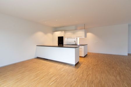 Modern 7.5-room new-build house in Ponthaux – Elegance & Comfort - Photo 4