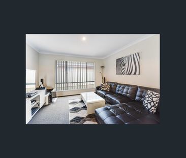 Family Living in Prime Location! - Photo 1