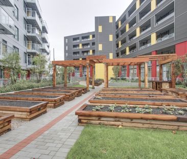 602-384 E 1st, Vancouver - Photo 6