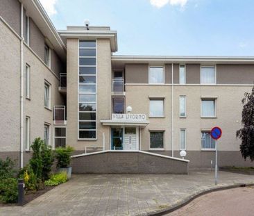 Tasveld - Photo 5