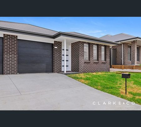 19 Anston Street, Farley, NSW 2320 - Photo 3