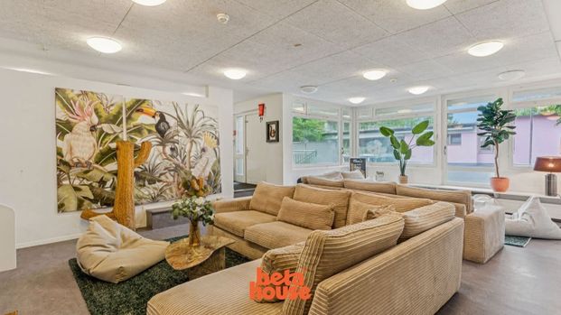 1 Zimmer, 16 m², 1. Stock - Photo 1