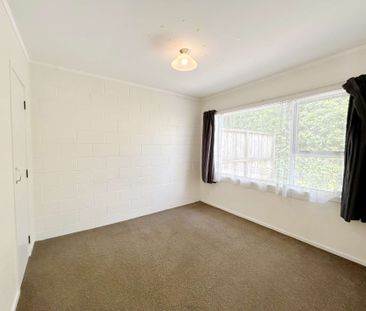 Spacious two bedroom unit plus carpark - Photo 5