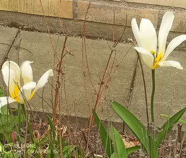 Skäpplandsgatan, Göteborg - Photo 1