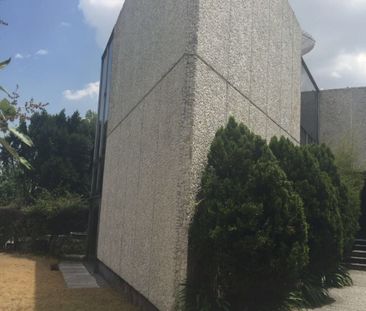 Casa de 4 recámaras con jardín en renta en Lomas de Chapultepec III... - Photo 6