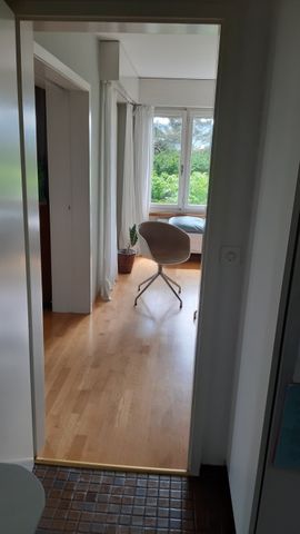 5 Zimmer, 160 m², EG - Foto 4