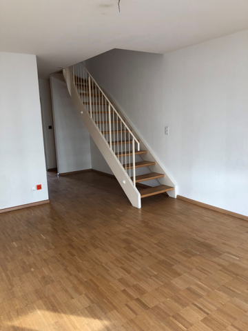 Charmante Maisonettewohnung beim Messeplatz - Foto 2