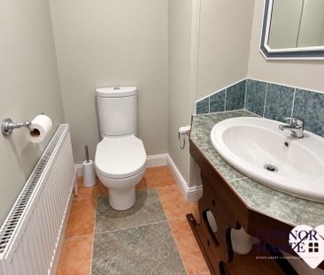 167a Drum Road, Cookstown, BT80 9DW - Photo 4