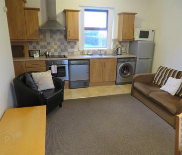 Apartment 4 67a Steps Road, Donaghcloney, BT66 7NZ - Photo 2