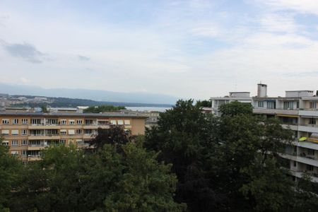 Frontenex 55 - Photo 2