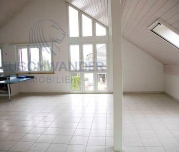 Penthouse with conservatory and large terrace - Photo 2