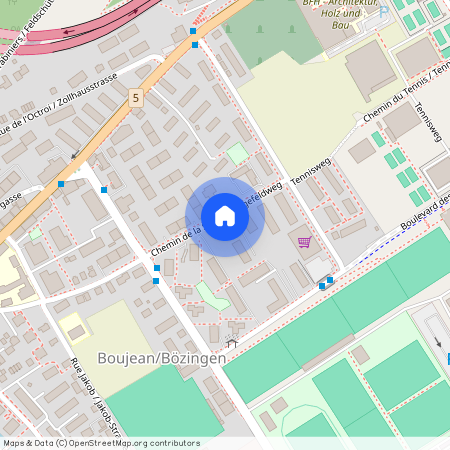 2504, Biel, Chemin De La Scierie / Sägefeldweg, 58